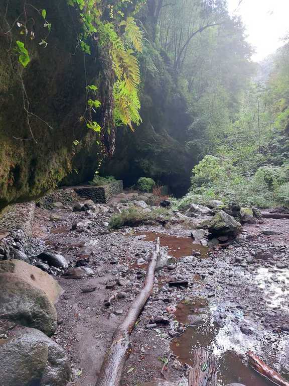 cache_2497739760
